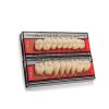 Denti Acry plus a 4 strati cromatici - Prezzo in offerta per ordine minimo di 52 file o 13 bocche